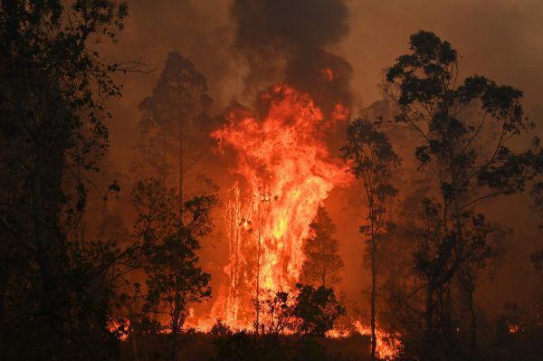 Seit Tagen wüten die Feuer. AFP/Peter Parks