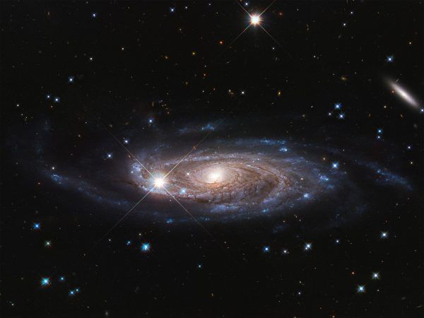 „UGC 2885“ heißt die neu entdeckte Galaxie.AFP/ESA/Holwerda