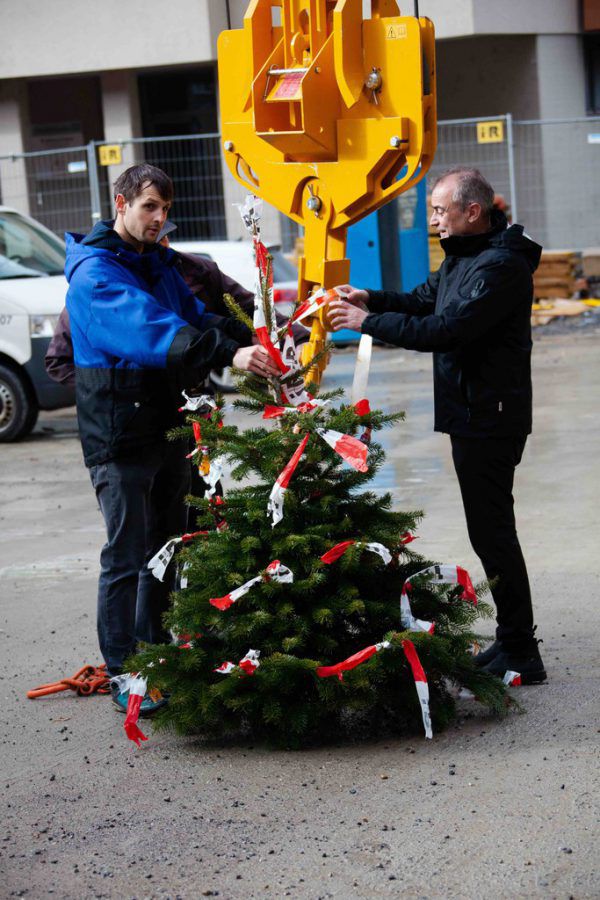 Der Firstbaum, der aufs Dach des Rohbaus kam.  bauart