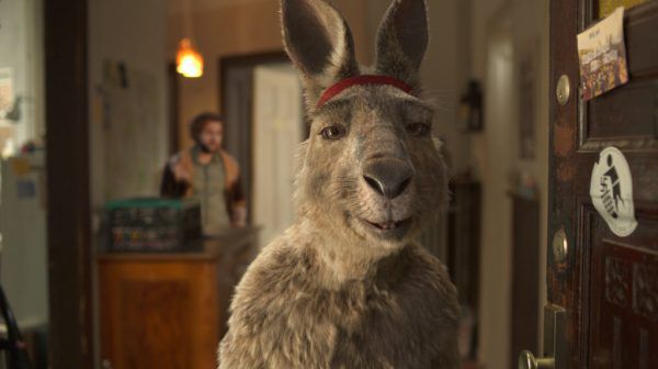 Das Känguru sorgt für viel Wirbel. LunA FILMVERLEIH