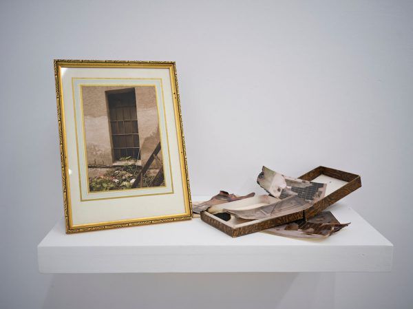 Judith Saupper, Hund Kol, und die Werke der Künstlerin in Lustenau. Galerie Hollenstein – Kunstraum und Sammlung/Miro Kuzmanovic (3)