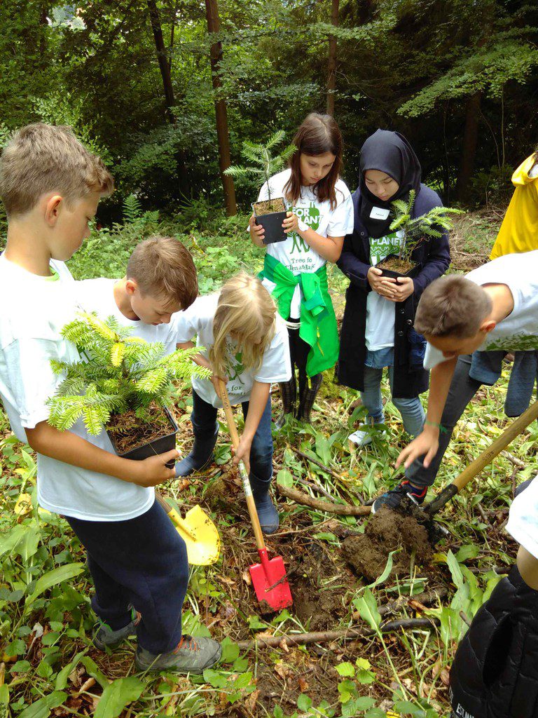 Kinder entdecken bei einer Exkursion im Rahmen der Umweltwoche spielerisch den Lebensraum Wald.⇒Gemeindeverband