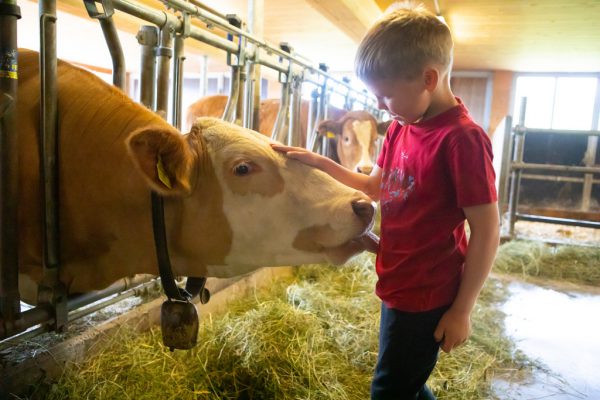 Die Bauernfamilie kennt die einzelnen Tiere nicht nur beim Namen, sondern weiß auch über deren Charaktere Bescheid.