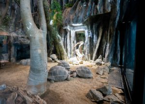 Erste Tiere im neuen Zubau