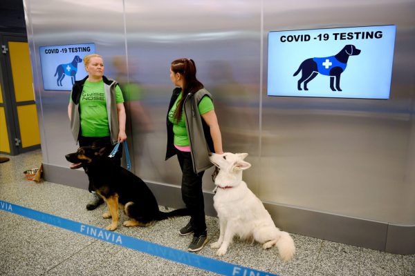 Valo, E.T., K’ssi und Miina sind mit ihren Trainer­innen im Airport-Gebäude unterwegs. Reuters