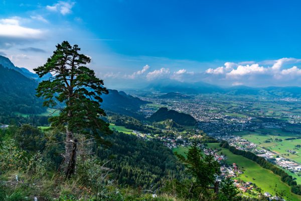 An einem Zukunftsbild für das Rheintal wird gearbeitet. Shutterstock