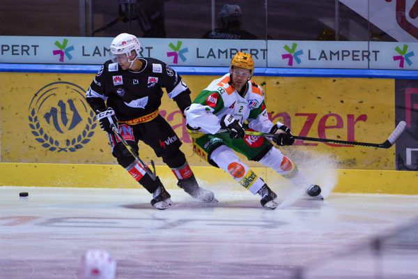Für den EHC Lustenau stehen an diesem Wochenende zwei Spiele auf dem Programm. lerch