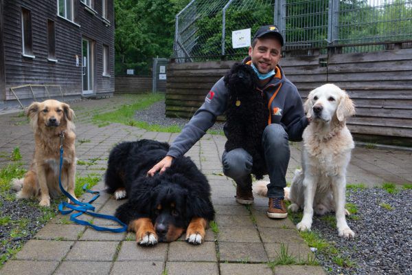 Marco Milohnic mit einigen seiner Schützlinge. Nachdem heuer zwei große Spendenaktionen Corona-bedingt nicht stattfinden können, sind die Verantwortlichen des Tierschutzheims froh um jede Unterstützung. Klaus Hartinger(2)