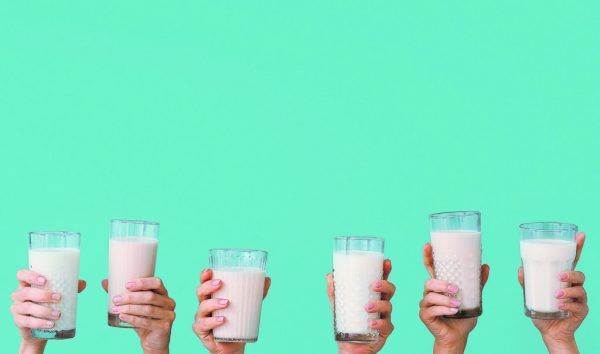 Nur die Kuhmilch darf Milch heißen. Alles andere muss als „Drink“ oder „Getränk“ deklariert werden. Shutterstock