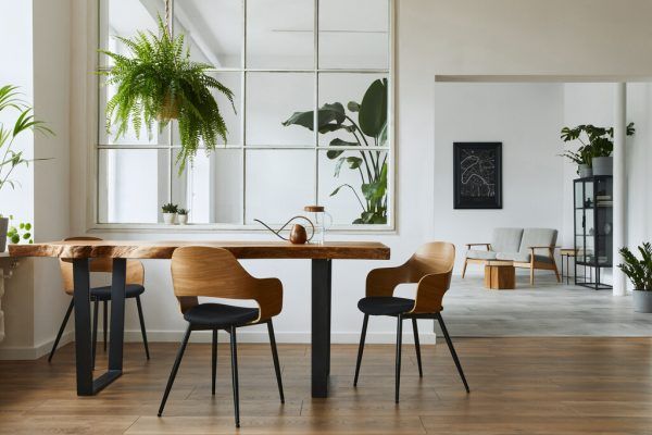 Pflanzen in Zimmern helfen, Energie zu sparen. Shutterstock