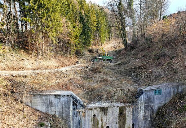 Tobel wird ausgeforstet. Stadt Bludenz