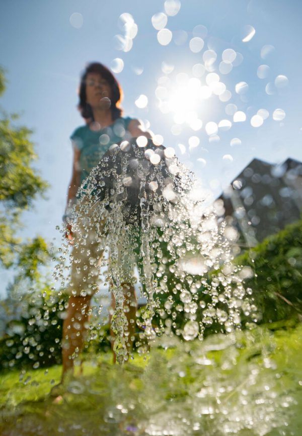 Menschen, Tiere und Pflanzen brauchen heute viel Wasser. Dietmar Stiplovsek (2), Klaus Hartinger (2)