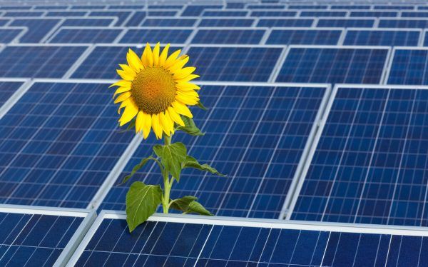 Die geänderte EU-Mehrwertsteuerrichtlinie würde billigere Solaranlagen ermöglichen. dpa/Patrick Pleul