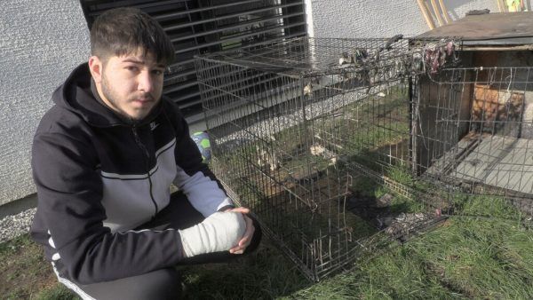 Der 13-jährige Retter verletzte sich und erlitt Verbrennungen. Maurice Shourot