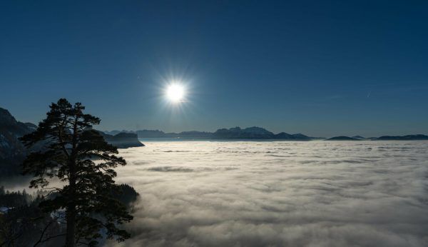 ⇒Dietmar Stiplovsek