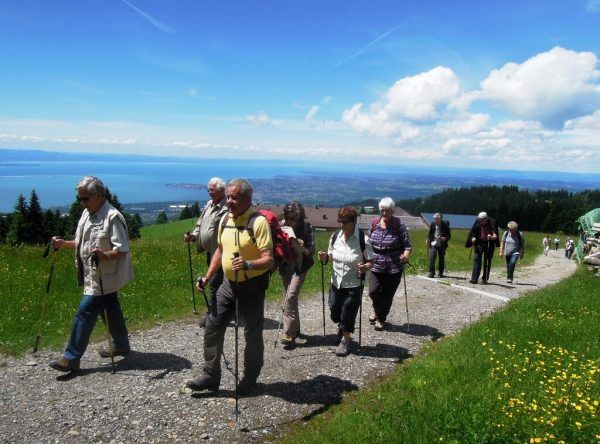 Mit Seniorenreisen nahm der Seniorenbund Geld ein, das er jedoch nicht ausreichend versteuerte. SB/neue