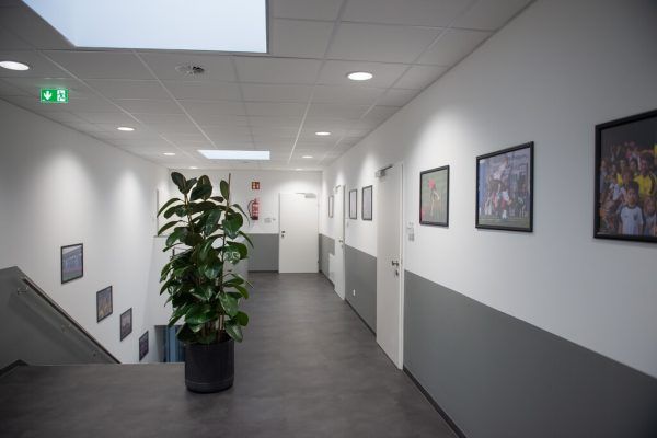 Ein Blick in den neuen Altacher Nachwuchscampus, der morgen offiziell mit einem U9-Fußballturnier eröffnet wird. Rhomberg