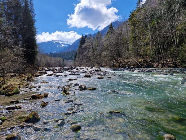 Sowohl Berglandschaften, Wald und idyllische Bäche prägen die Wanderung.Gerhard Vylet (4)