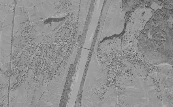 Das Rheinvorland war in den 1950ern noch verbuscht und bewaldet. lvg (2)