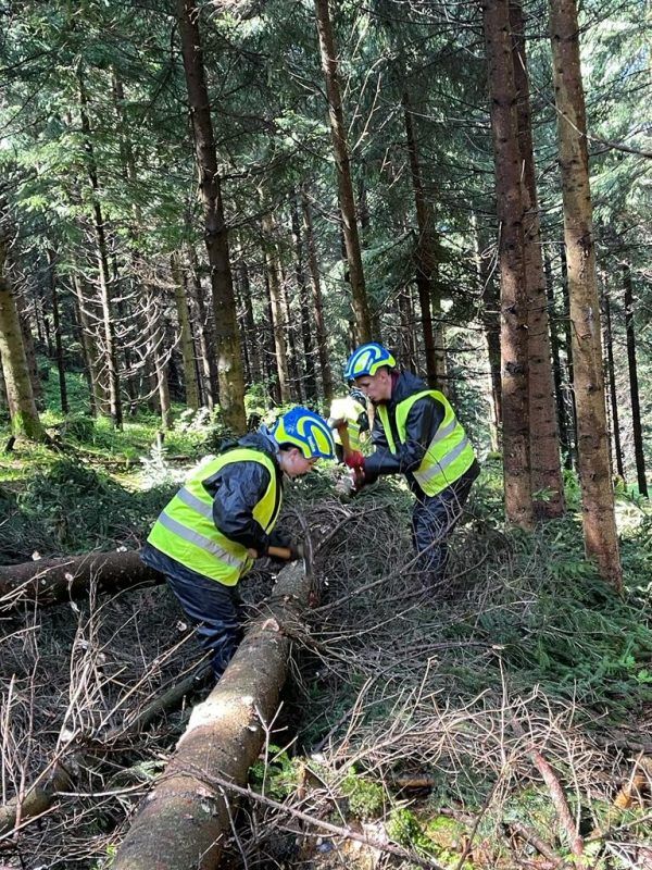 Die Jugendlichen lernten den Wald kennen. stadt hohenems