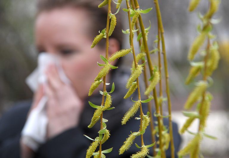 Für Pollenallergiker ist der Frühling häufig belastend. ⇒apa/Schlager