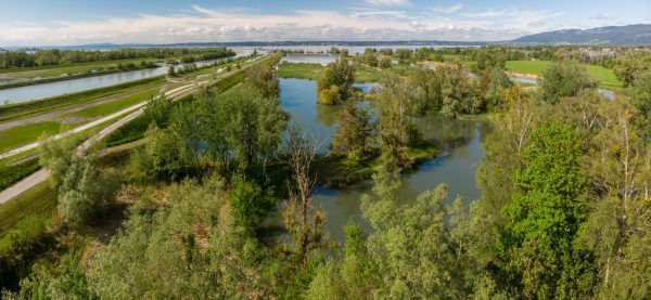 Im Rheindelta gilt eine Stallpflicht für Geflügel.  Hartinger