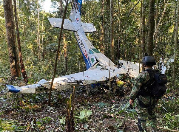 Das abgestürzte Kleinflugzeug im Regenwald. Apa/Colombian Army
