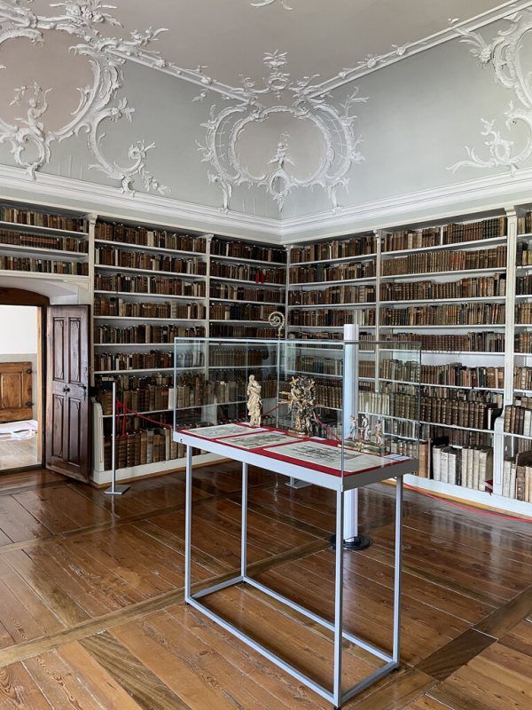 Die Arbeiten sind in der Bibliothek ausgestellt. Tobias natter