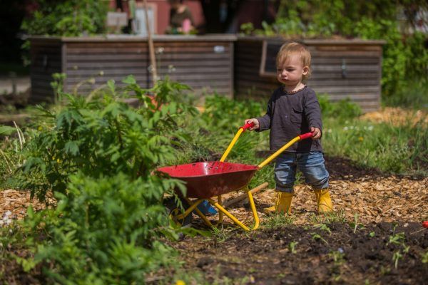 In der Umweltwoche steht die Nachhaltigkeit im Mittelpunkt. steurer