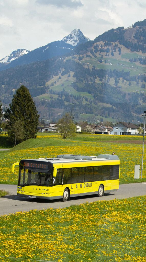 Künftig können Touristen mit der Gästekarte alle Öffis im Land benutzen.⇒hartinger