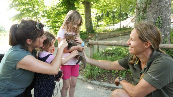 Auch im Wildpark kommt regelmäßig Nachwuchs zur Welt. Hartinger