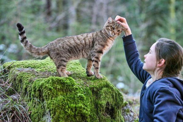 Clémence schließt die kleine Katze Lou ins Herz.  Polyfilm