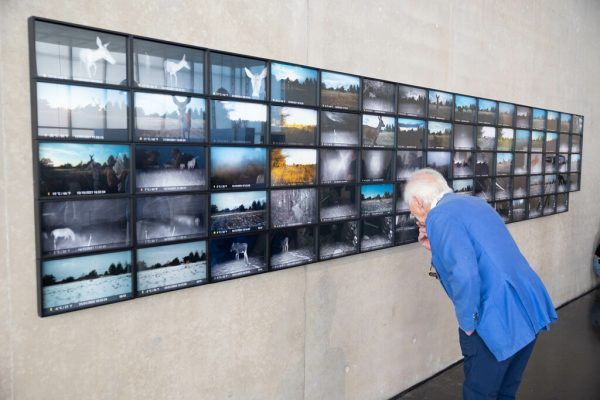 Fotografien von Jermolaewas „Chernobyl Safari“. Klaus Hartinger (3)