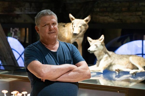 In Österreich ist (begrenzt) Platz für Wölfe und Bären, sagt Klaus Zimmermann.Dietmar Stiplovsek (3) apA/dpa/Friso Gentsch
