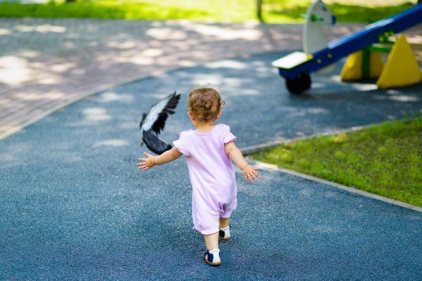 Kind lief Taube nach und querte Radweg. shutterstock