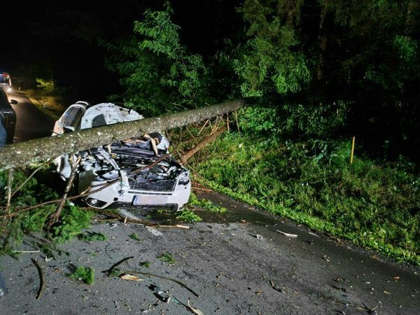 Umstürzende Bäume auf fahrende Autos sind derzeit trauriger Alltag in Kärnten. APA/FEUERWEHR WÖLFNITZ