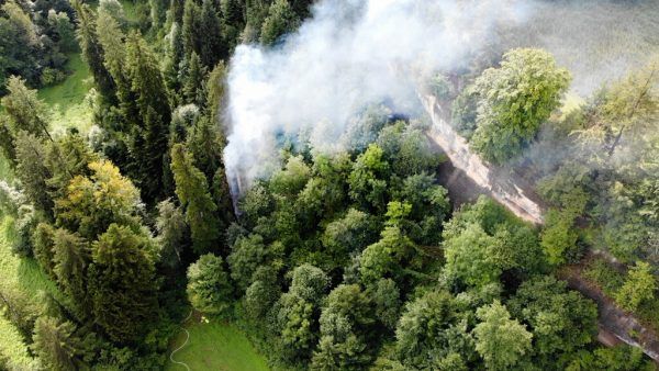Ein Baum geriet in Brand.  shourot