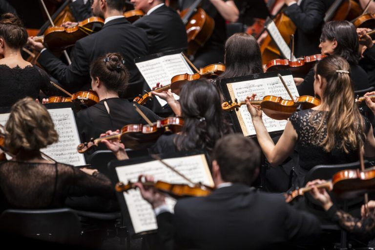 Eindrücke vom vierten Orchesterkonzert der Bregenzer Festspiele.  Lisa Mathis (2)