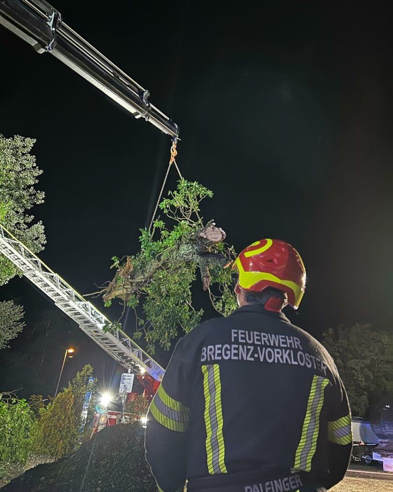 Viele Bäume lagen auf den Straßen.Feuerwehr Bregenz-Vorkloster