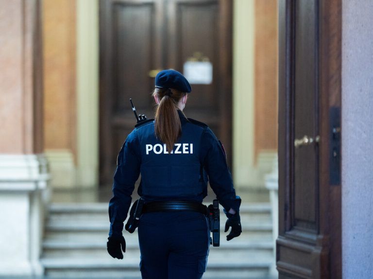 Die Beamtin wurde beinahe angefahren.symbol/apa