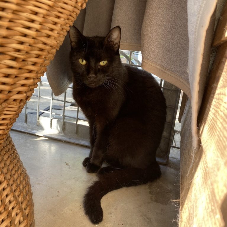 Missy ist anfangs zurückhaltend.