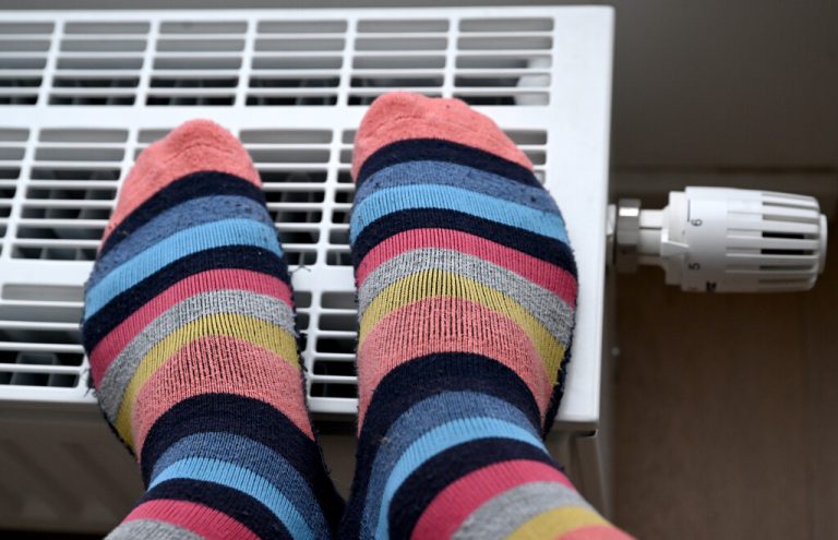 Wegen des neuen Gebäudeenergiegesetzes überlegen sich viele Deutschen, wie sie künftig heizen sollen. APA
