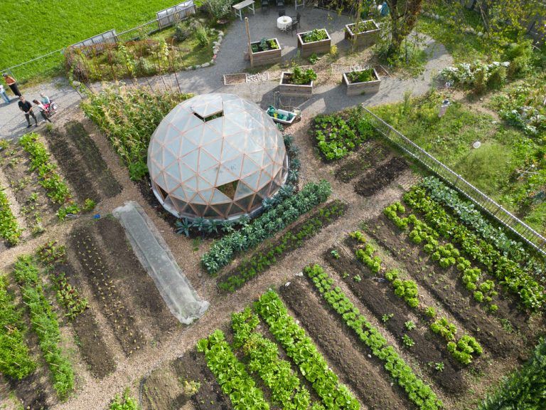 Wie eine Kuppel thront das Tomatenhaus im Garten. Drinnen und rundherum wächst und gedeiht es.HartingeR (12)