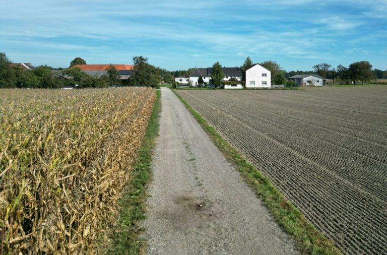 Der Hund griff die Frau beim Joggen an.APA