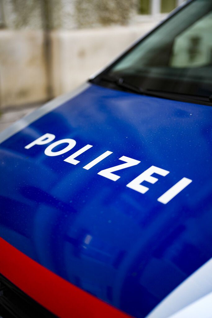 Die Polizei fahndet nach den Frauen.apa
