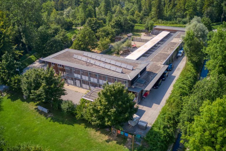 Viele Tiere warten im Tierschutzheim auf einen neuen Besitzer.STiplovsek