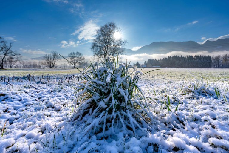 Bis ins Rheintal herunter könnte es schneien.Stiplovsek
