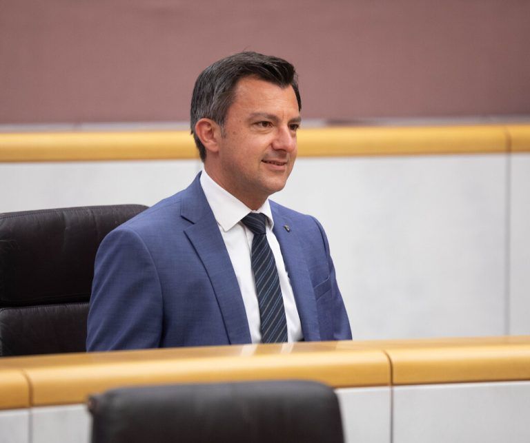 Martin Staudinger brachte eine Anfrage im Landtag ein.hartinger