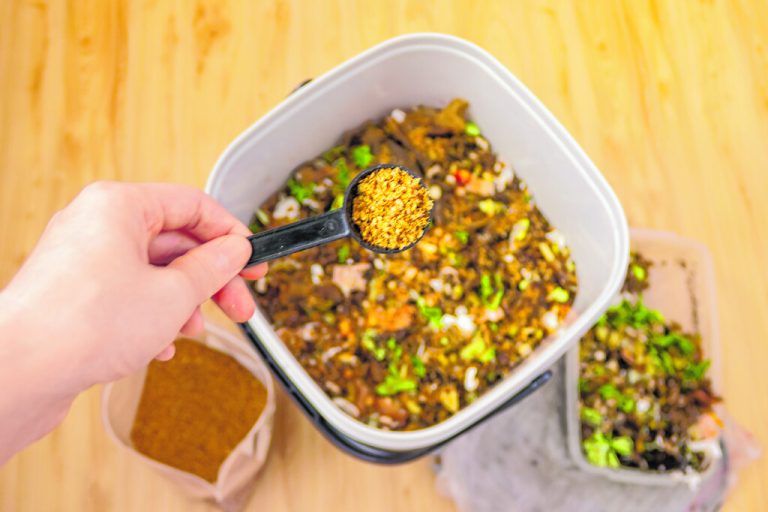 Bokashi-Kleie mit effektiven Mikroorganismen unterbinde Gerüche und sorgt für erfolgreiches Fermentieren.Shutterstock