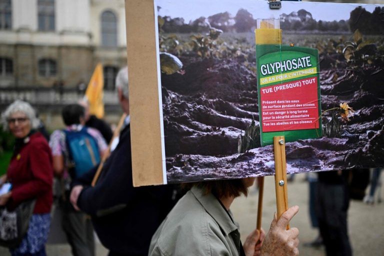 Demo gegen die Verlängerung der Zulassung von Glyphosat. AFP